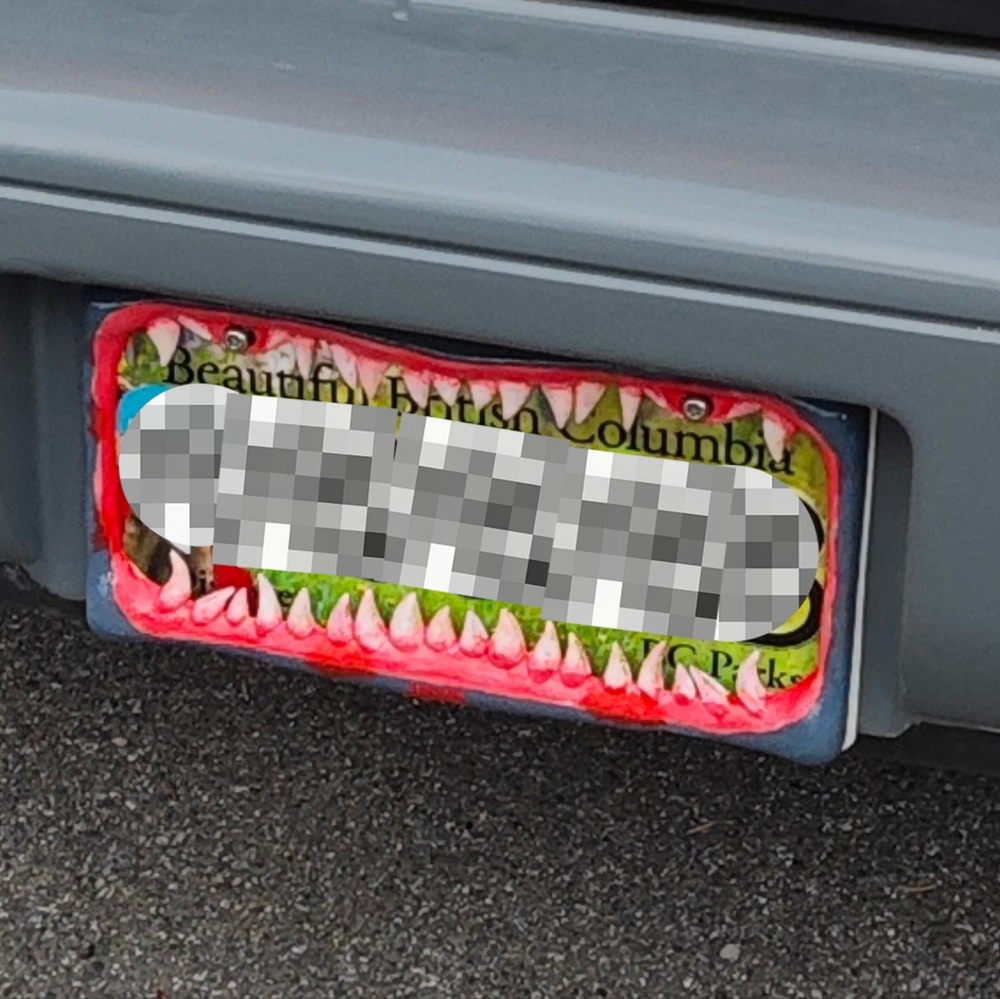 Single Jaws Shark Teeth License Plate Frame - Picture 9 of 10